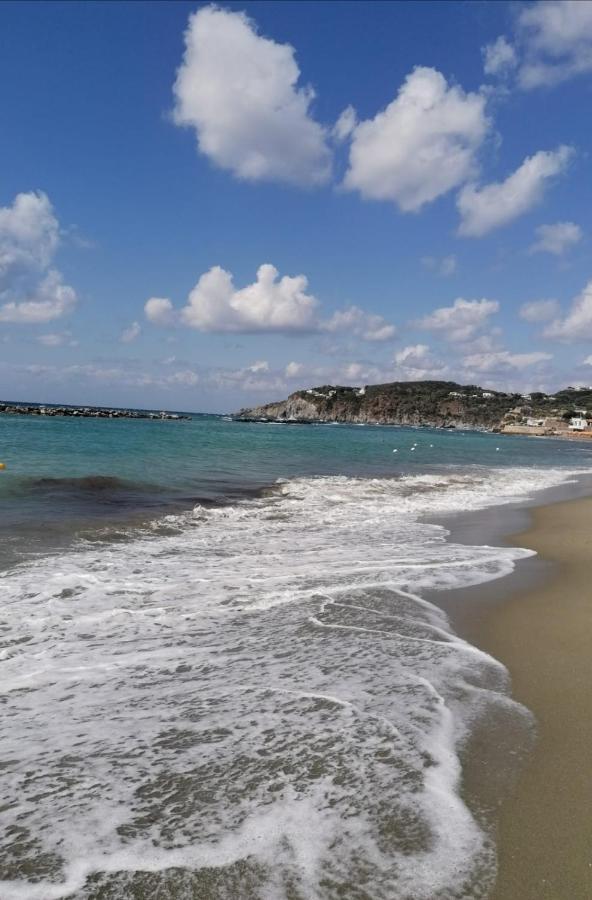 Forio di Ischia La Bicocca Di Annavi Bed & Breakfast エクステリア 写真