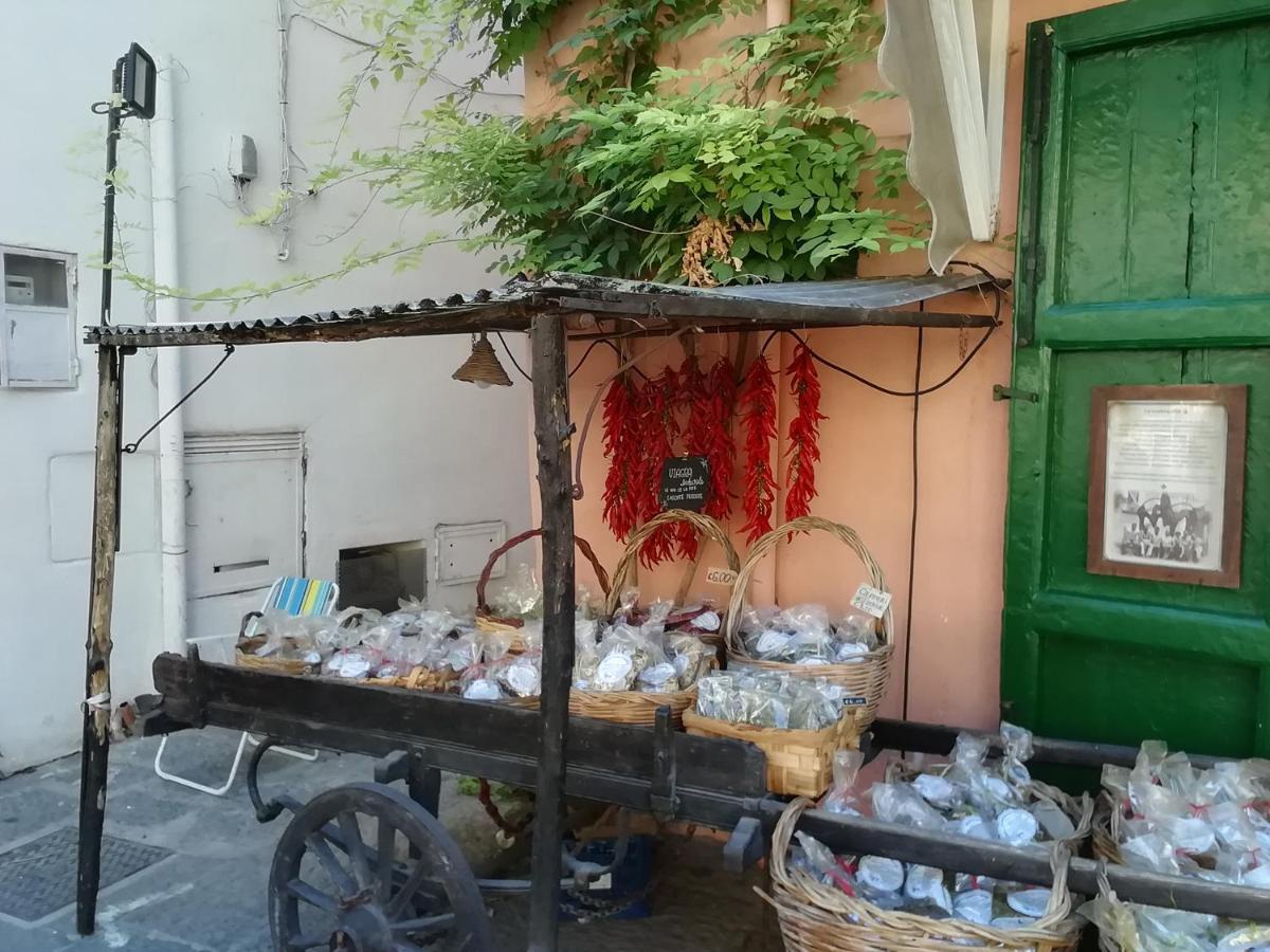 Forio di Ischia La Bicocca Di Annavi Bed & Breakfast エクステリア 写真