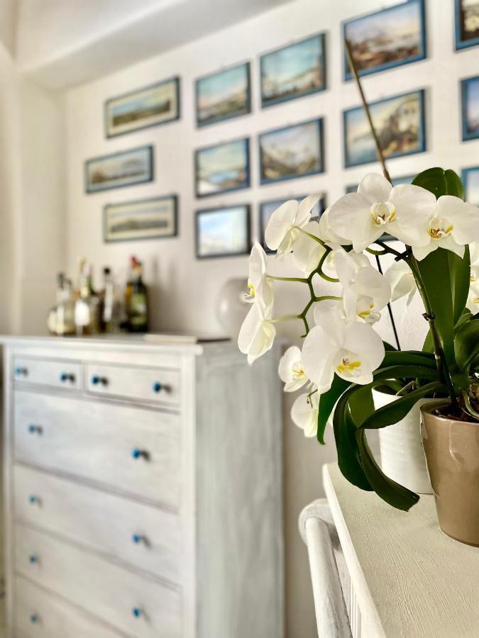 Forio di Ischia La Bicocca Di Annavi Bed & Breakfast エクステリア 写真