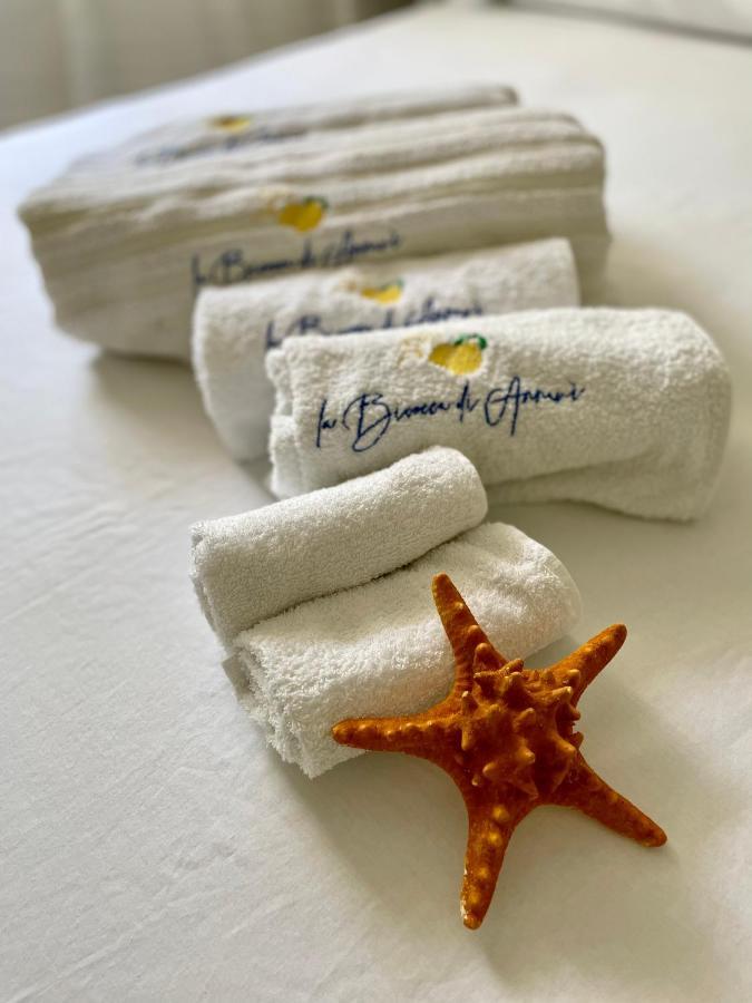Forio di Ischia La Bicocca Di Annavi Bed & Breakfast エクステリア 写真