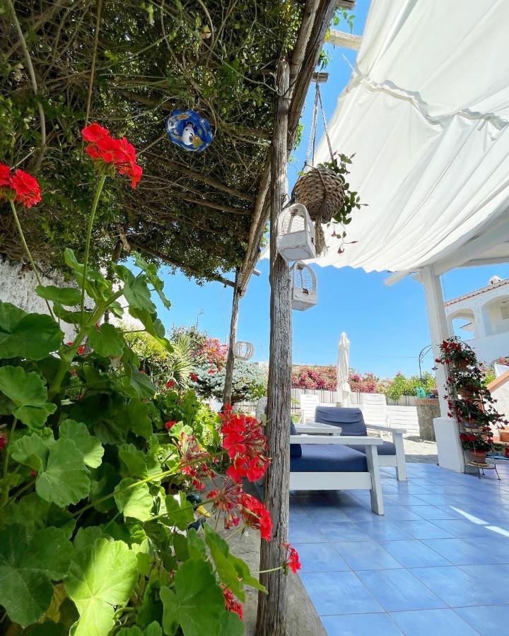Forio di Ischia La Bicocca Di Annavi Bed & Breakfast エクステリア 写真