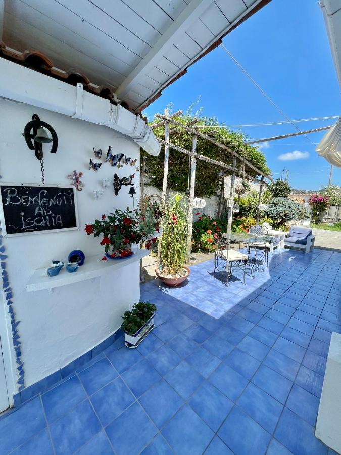 Forio di Ischia La Bicocca Di Annavi Bed & Breakfast エクステリア 写真