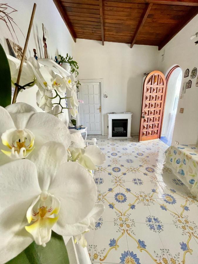 Forio di Ischia La Bicocca Di Annavi Bed & Breakfast エクステリア 写真