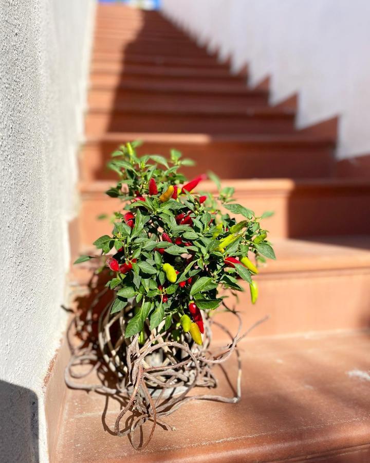 Forio di Ischia La Bicocca Di Annavi Bed & Breakfast エクステリア 写真