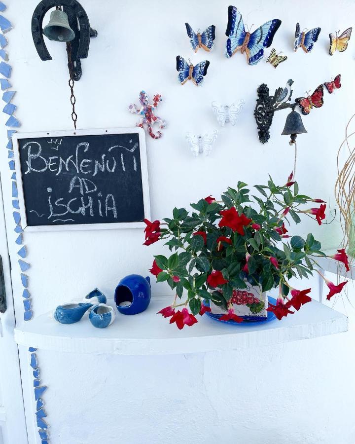 Forio di Ischia La Bicocca Di Annavi Bed & Breakfast エクステリア 写真