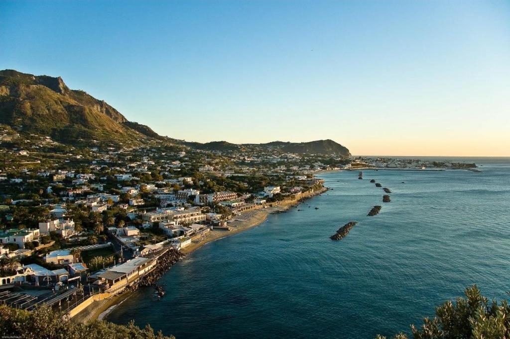 Forio di Ischia La Bicocca Di Annavi Bed & Breakfast エクステリア 写真